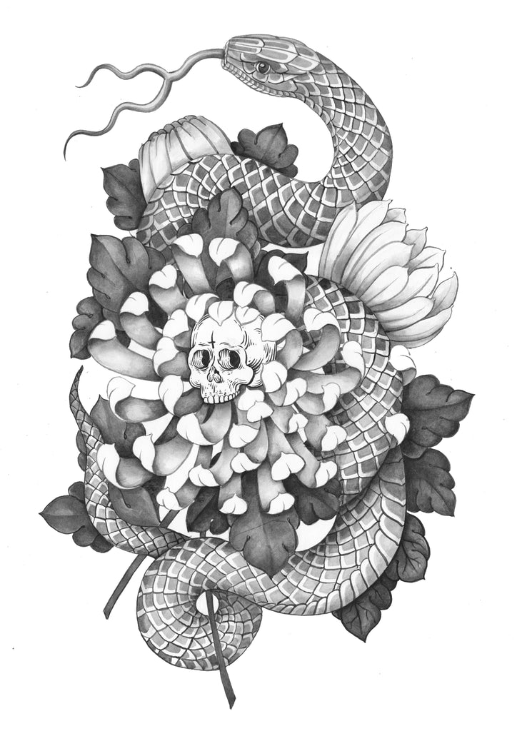 Chysanthemum- A3 Print